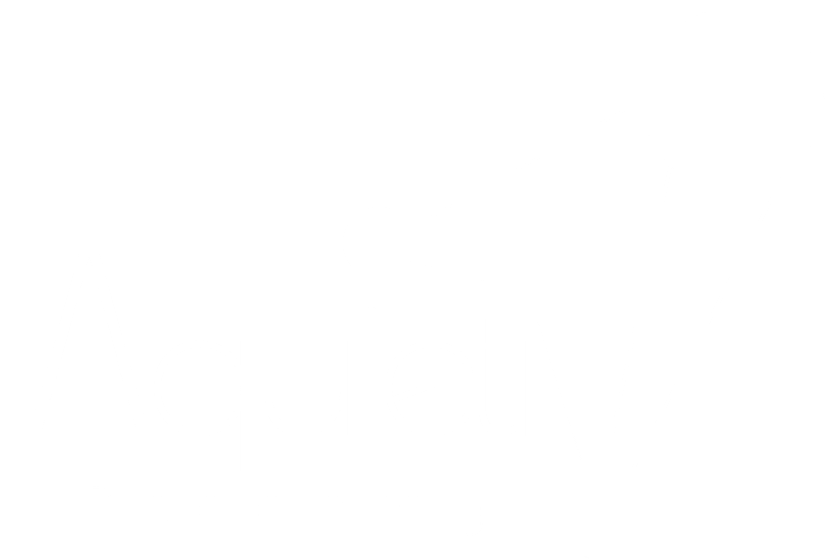 Aquieti Academy